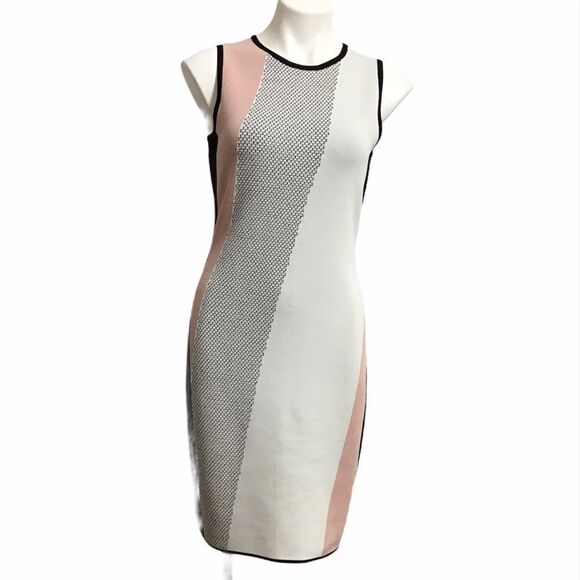 Etcetera Sleeveless Color Block Knit Dress Size S - Picture 1 of 11